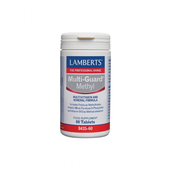 Lamberts Multi-Guard Methyl 60Tabs